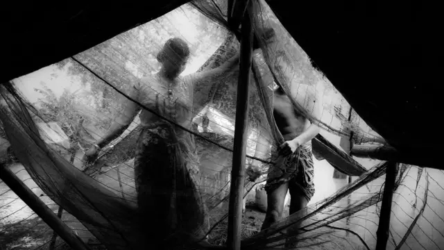 असम, बाढ़