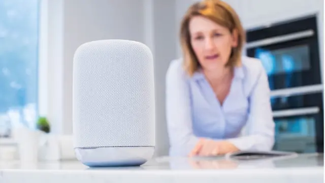 డిజిటల్ వాయిస్ అసిస్టెంట్స్