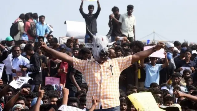 ஜல்லிக்கட்டு போராட்டம்