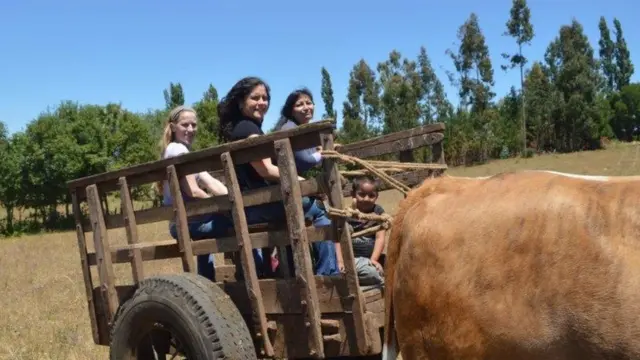 En la carreta va la investigadora Paula Miranda tras visitar la tumba de Juanita Lepilaf