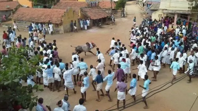 பாலமேட்டில் தடையை மீறி நடந்த ஜல்லிக்கட்டு