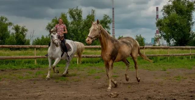 "Краски лета"