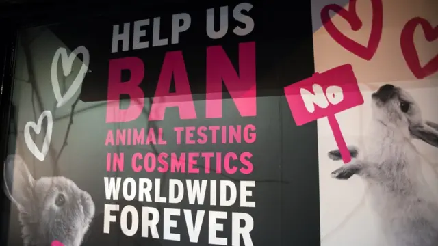 Кролики против тестов