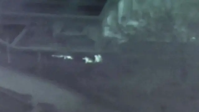 紅外線片段顯示韓國士兵營救投誠士兵。