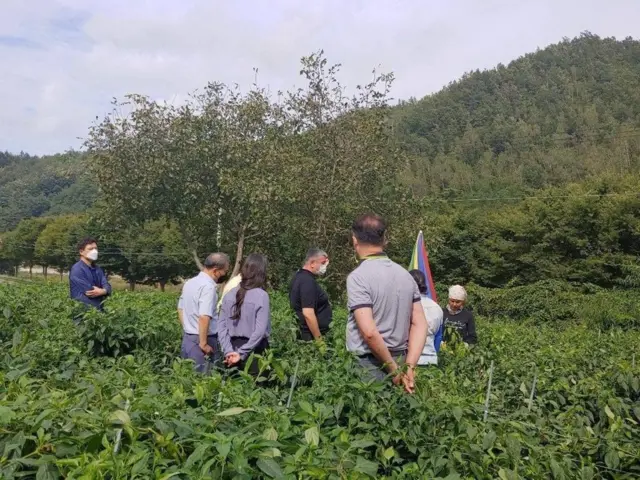 Жанубий Корея далалари