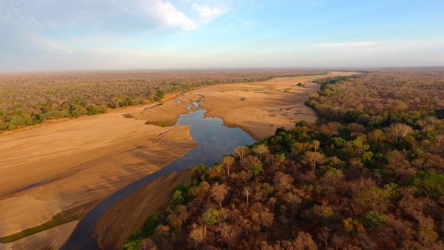 Mozambik'teki Niassa ulusal koruma alanı