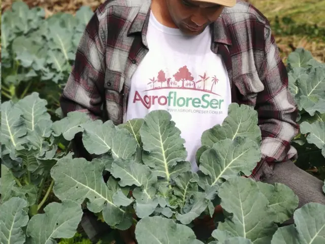 Agricultores em horta