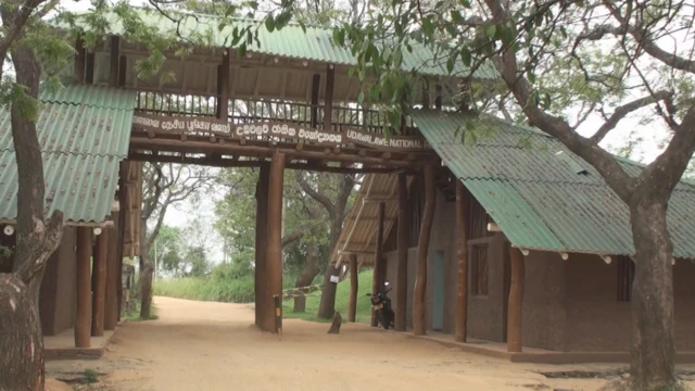 උඩවලව ජාතික වනෝද්‍යානය