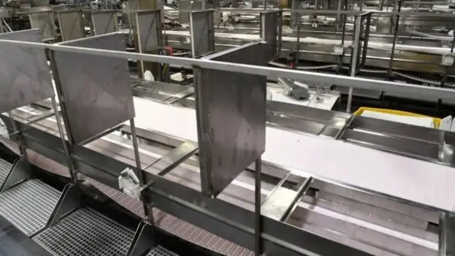 No es el primer brote en un matadero. Otros se vieron obligados a cerrar en Estados Unidos, Francia o Reino Unido.
