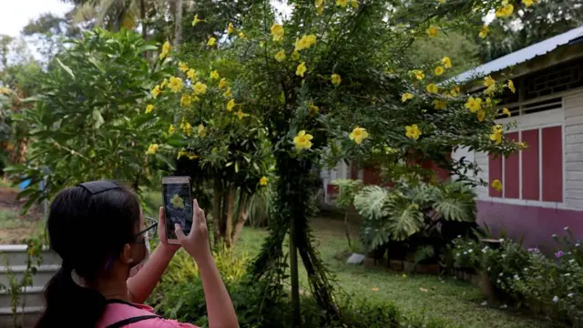 సింగపూర్ గ్రామీణ జీవితం పట్ల ప్రజలు కొత్తగా ఆకర్షితమవుతున్నారు