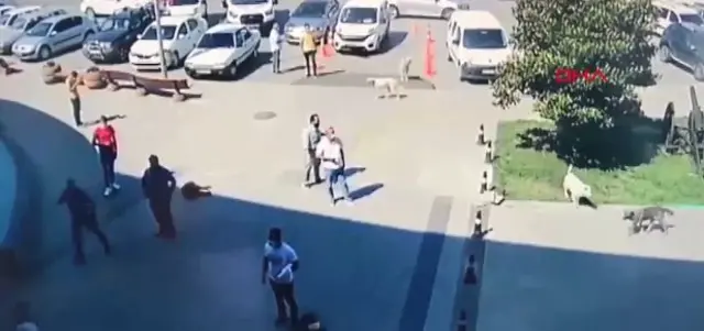 Manisa