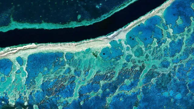 Великий Бар'єрний риф