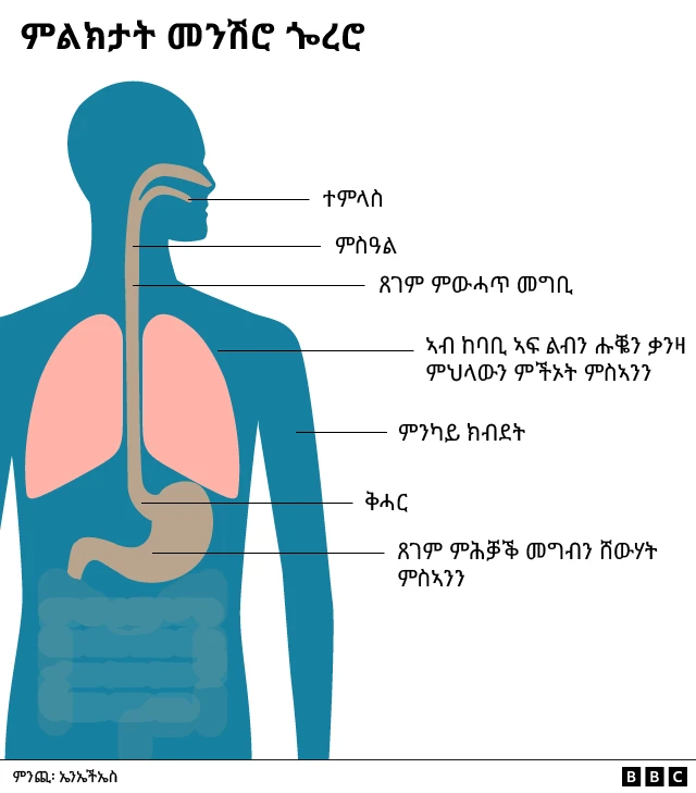 ምልክታት መንሽሮ ጐረሮ