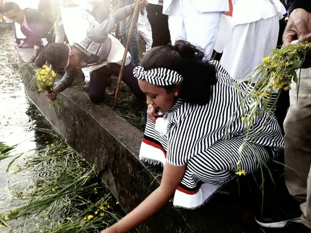 Sahamarree irreeffattu