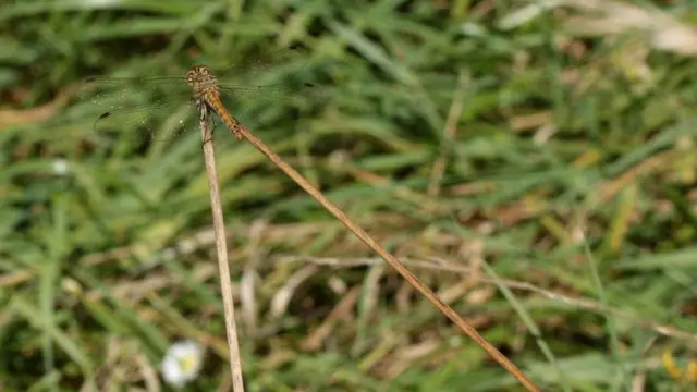 "Геометрия"