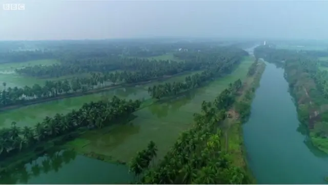 వ్యవసాయం