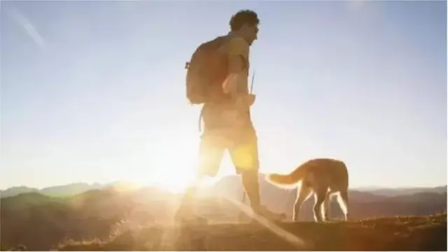 విటమిన్-డి