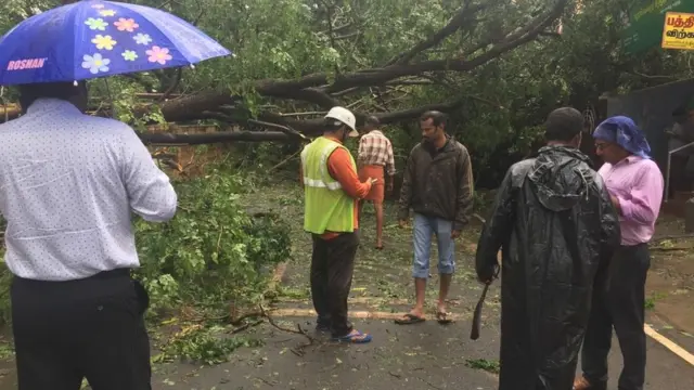 மரங்களை வெட்டி ஒதுக்கும் மீட்புப்படையினர்.