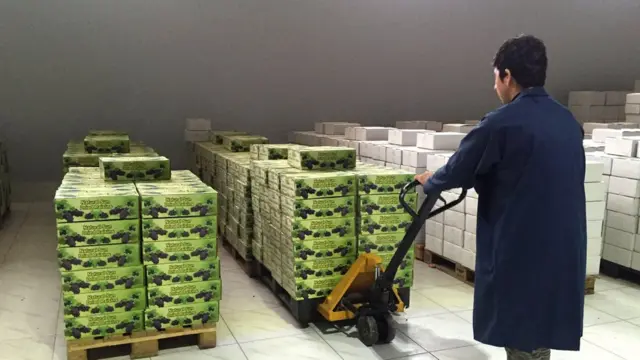 کارخانه میوه خشک در بلخ