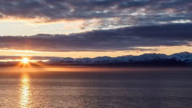 प्रजनन, नर-मादा संबंध