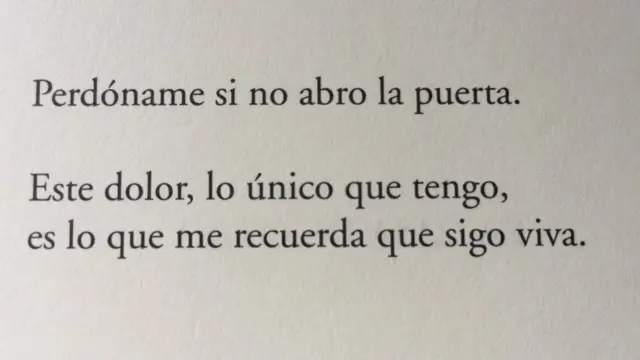 Versos finales del poema "La casa de otro", del libro "La soledad de un cuerpo acostumbrado a la herida", de Elvira Sastre.