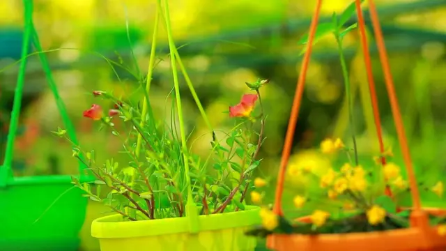 விவசாய தொழில் செய்ய ஊர் திரும்பும் ஒரு கிராமம் - நம்பிக்கை பகிர்வு