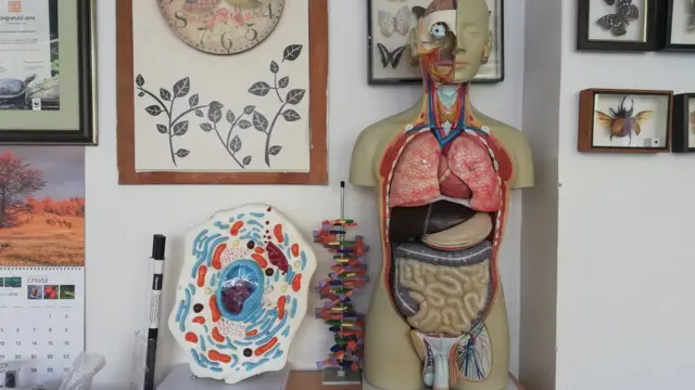 Kabinet biologije OŠ Drinka Pavlović