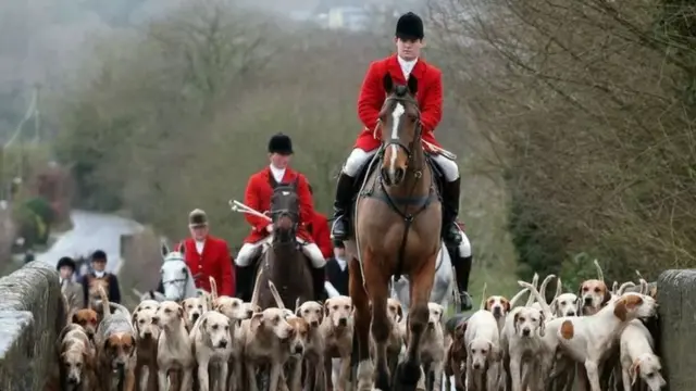 குதிரை சவாரி