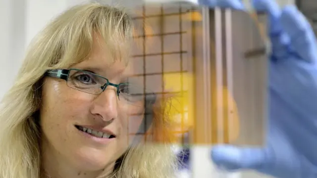 زادت كفاءة الألواح الشمسية وانخفضت أسعارها الآن مقارنة بالماضي