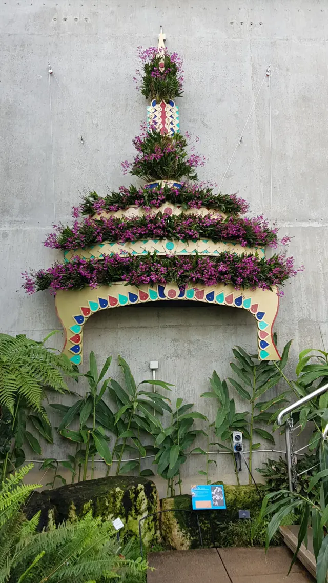 กล้วยไม้