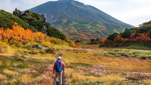 日本北海道是全國第一個宣佈緊急狀態的地方