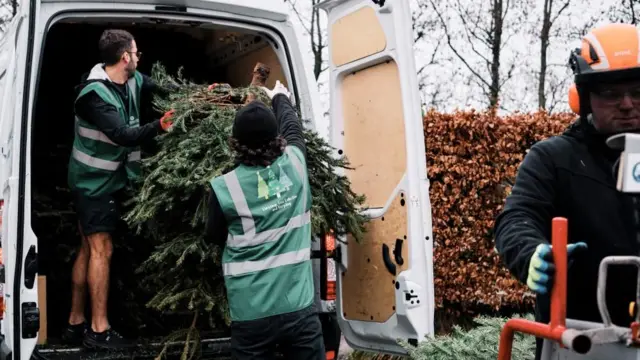 Dos voluntarios sacan un árbol de Navidad de la parte trasera de una camioneta blanca. Uno, con el pelo corto y oscuro, y gafas, se queda de pie en la camioneta de lado a la cámara. El otro, de pie tras las puertas traseras de la camioneta, de espaldas a la cámara, intenta alcanzar la base del árbol de Navidad, que está boca abajo.