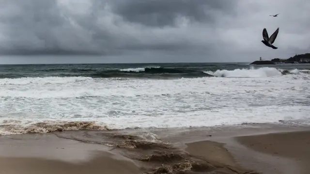 போர்ச்சுகல் சூறாவளி