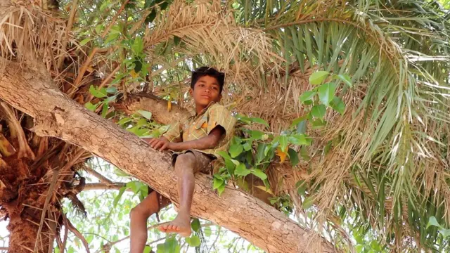 बस्तरः जहां विकास शब्द विस्थापना का पैग़ाम लेकर आता है