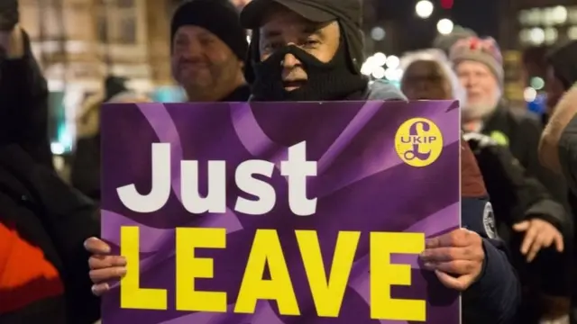 Brexi yanlısı eylemci