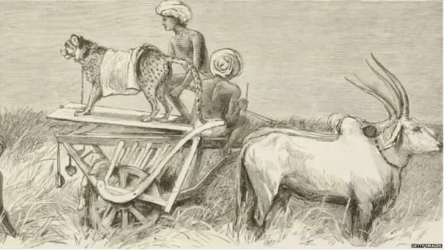 ચિત્તેવાન