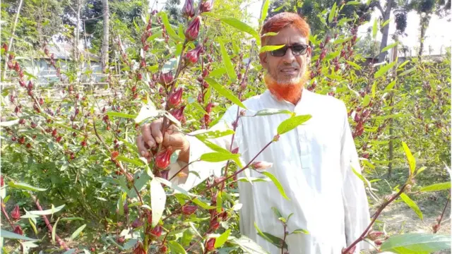 নাটোর কৃষক শহীদুল ইসলাম