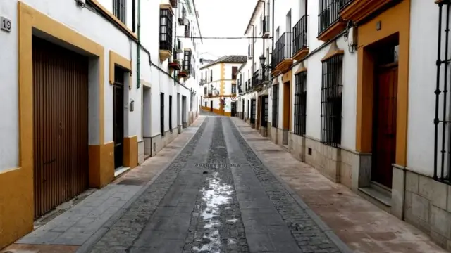 कोरोना वायरस