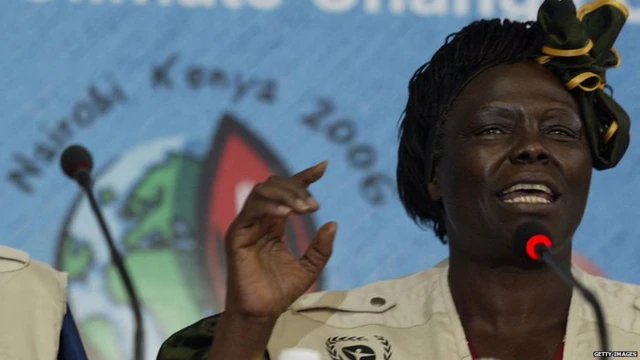 वंगारी मथाई