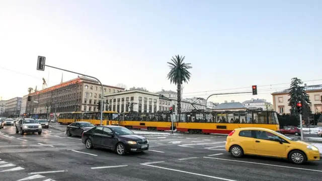 Художница Иоанна Райковска установила в центре Варшавы искусственную пальму - и что вы думаете? Эта инсталляция стала одним из символов столицы