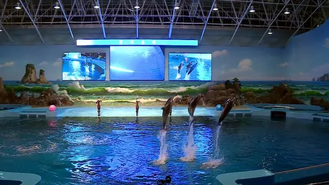 Dolphinarium in Pyongyang