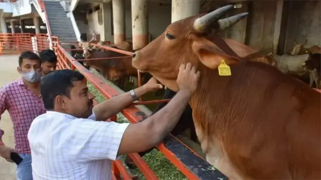 రాజాసింగ్
