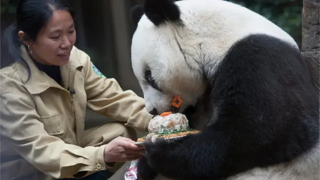 ปาซีอกำลังฉลองวันเกิดอายุ 37