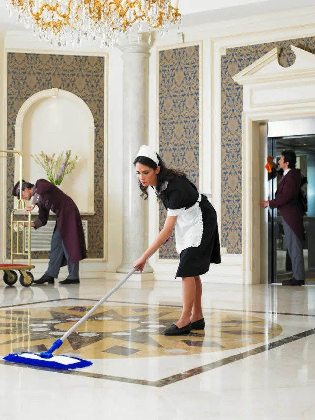 سریال خدمتکار