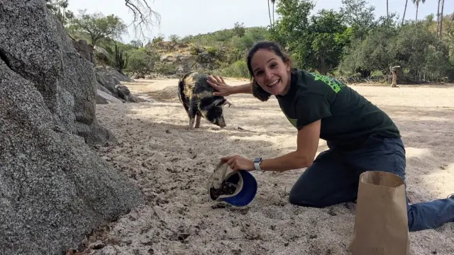Silvia Álvarez Clare colectando bellotas (antes de que sean devoradas por los puercos).