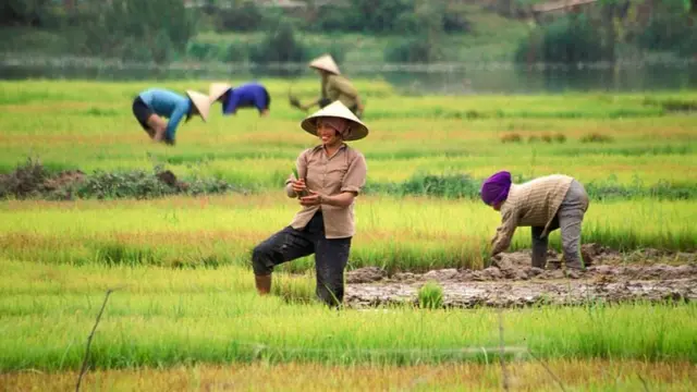VN