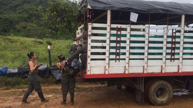 Guerrilleros de la columna móvil Teófilo Forero camino a la zona veredal próxima a San Vicente del Caguán, en el departamento del Caquetá.