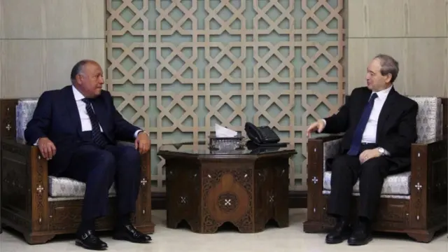وزير الخارجية المصري سامح شكري (يسار) مع نظيره السوري فيصل المقداد