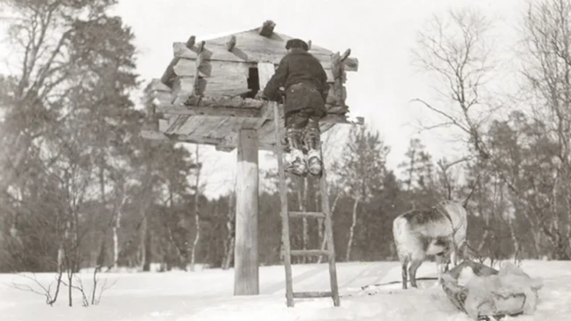 Finlandiya'daki geleneksel Niliaitta yiyecek depoları