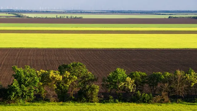 Файна Юкрайна